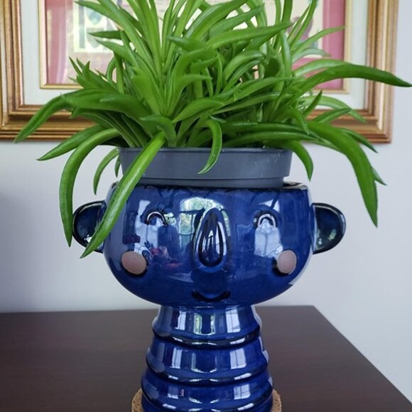 NEW 7 Inch Cute Face Planter for Indoor Outdoor Plants Ceramic Succulent Pot - Picture 9 of 10